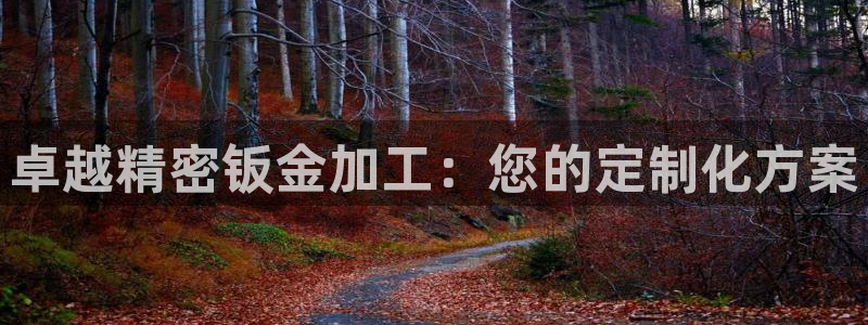 七星娱乐欧包