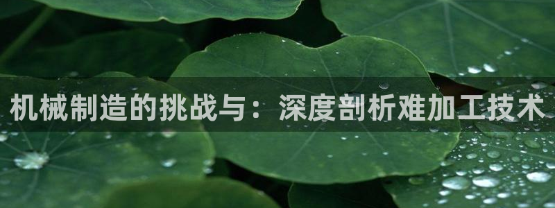 星欧娱乐登录入口