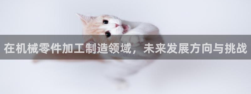 星欧娱乐注册官网