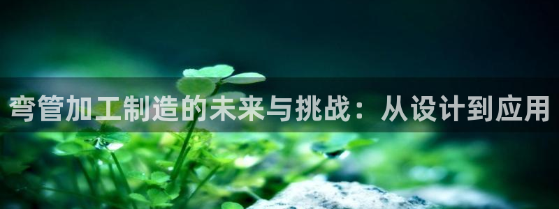 星欧娱乐的创始人背景