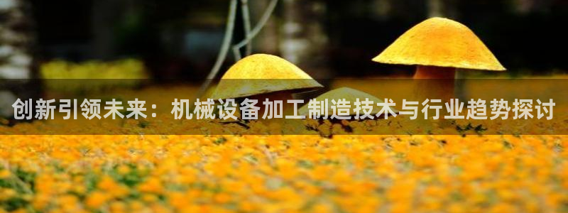 欧乐星城休闲娱乐