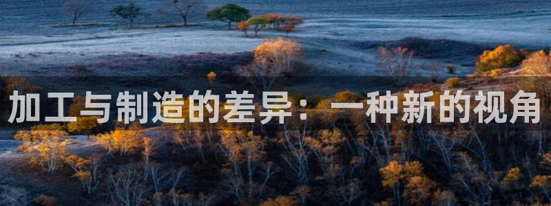 世欧星途娱乐