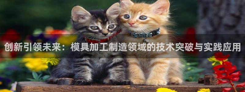 星欧娱乐最近怎么了