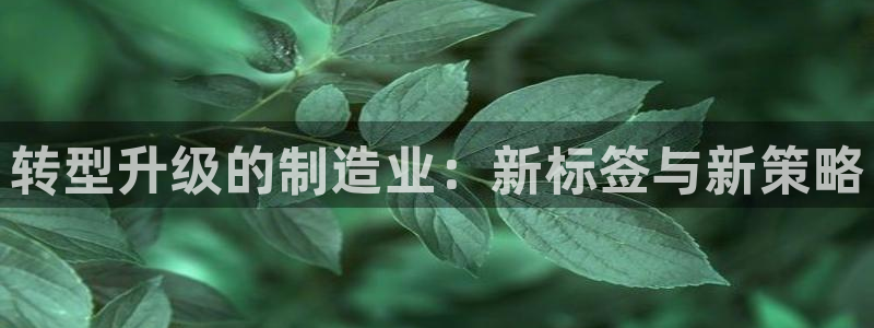 欧乐星城娱乐的介绍