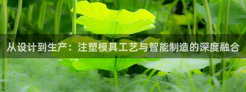 菲律宾亚星国际娱乐欧博