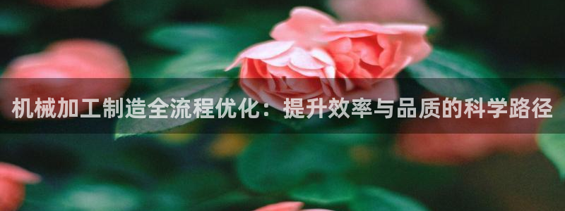 欧乐星城儿童娱乐