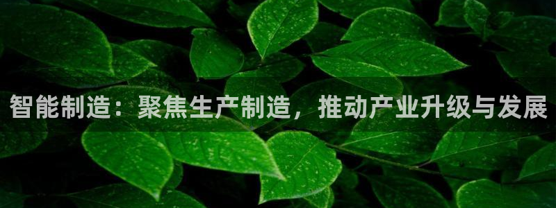 星辉娱乐进入欧联杯了吗