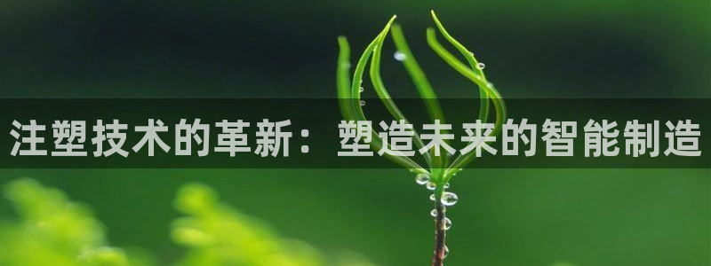 星欧娱乐最建议买吗