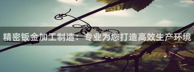星欧娱乐下载官网