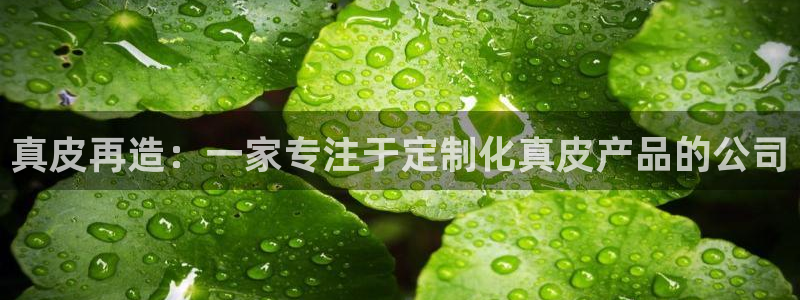 星欧娱乐最新版下载链接