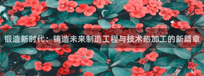 星欧娱乐的安装方法及注意事项