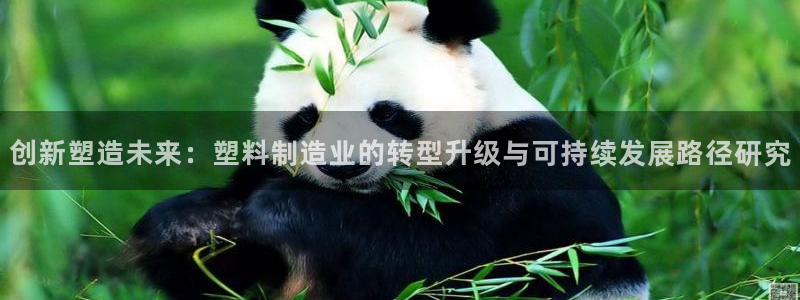星欧娱乐登录