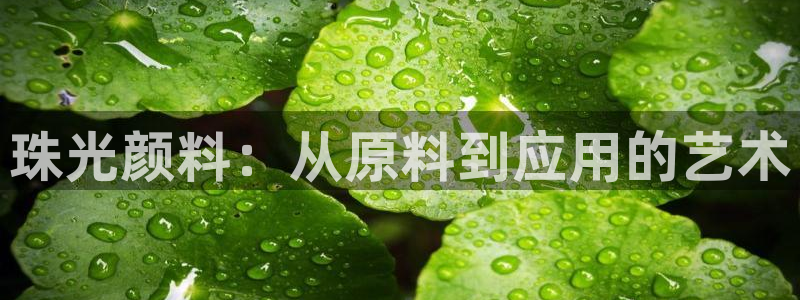 星欧娱乐开户