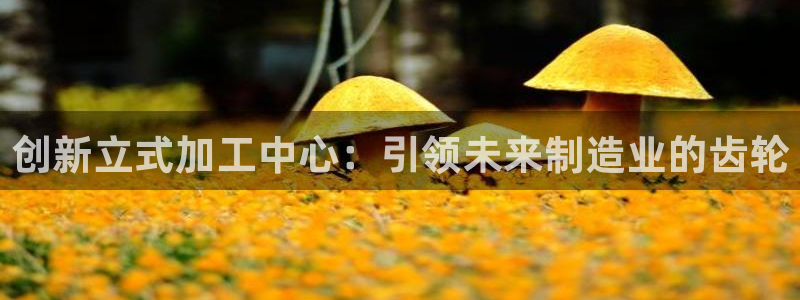 武汉欧汇星娱乐有限公司