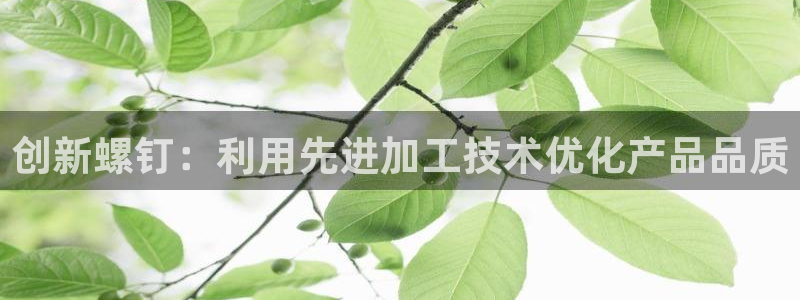 星欧娱乐是正规品牌吗