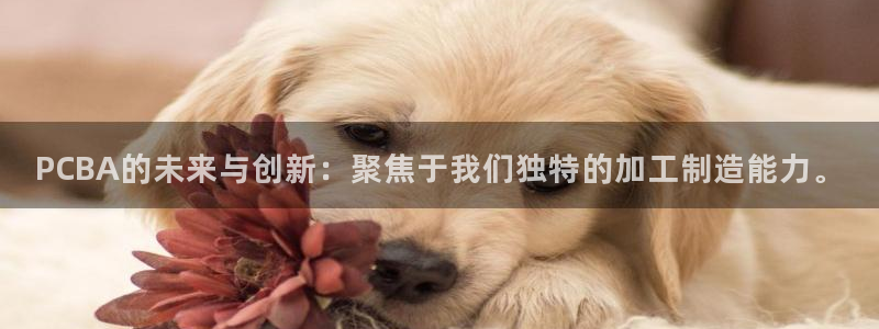 星欧娱乐官方网站