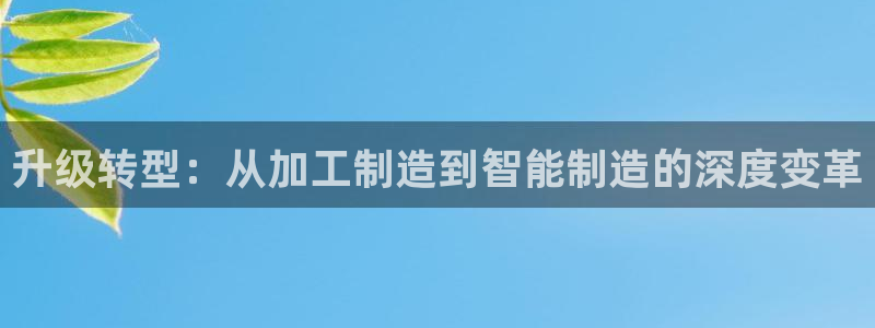 星欧娱乐公司老板背景
