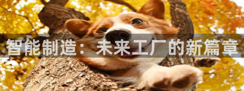 澳门欧星娱乐