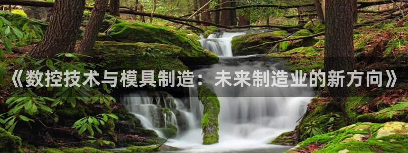 星欧娱乐的官方网站