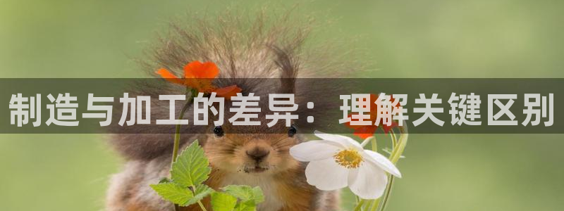 武汉欧汇星娱乐有限公司