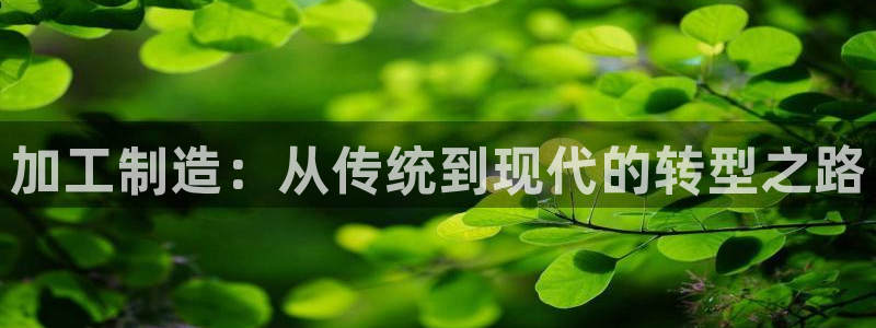星欧娱乐注册官网入口