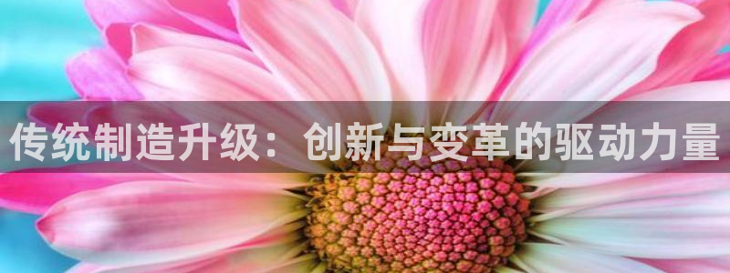 艾欧尼亚三星娱乐赛