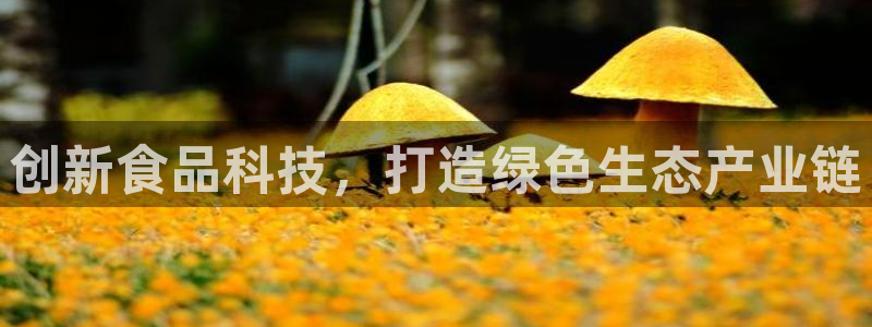 星欧娱乐人工客服电话