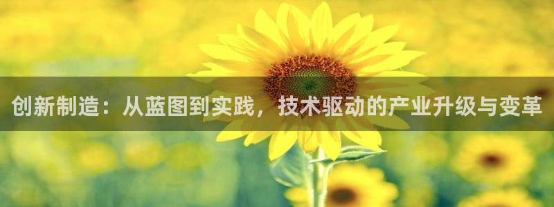 星欧娱乐平台电话