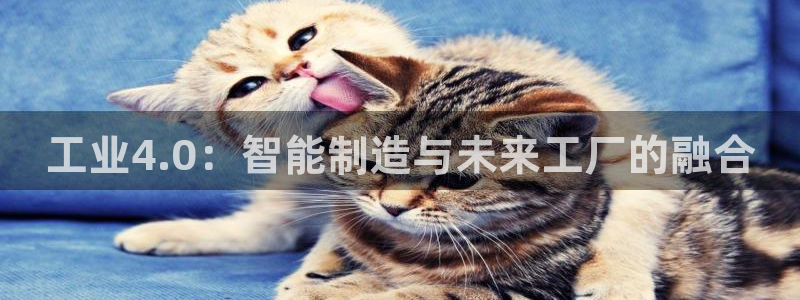 星欧娱乐官网客服电话号码