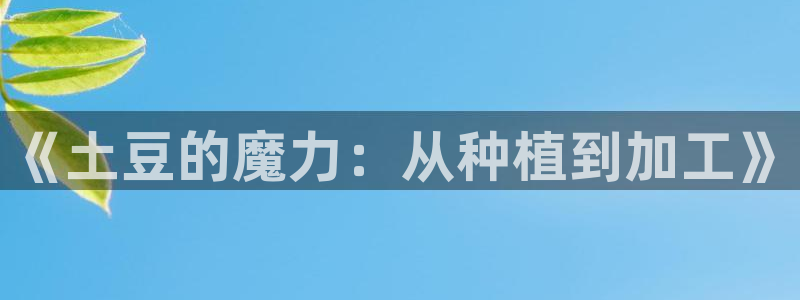 星欧娱乐官网在线登录入口