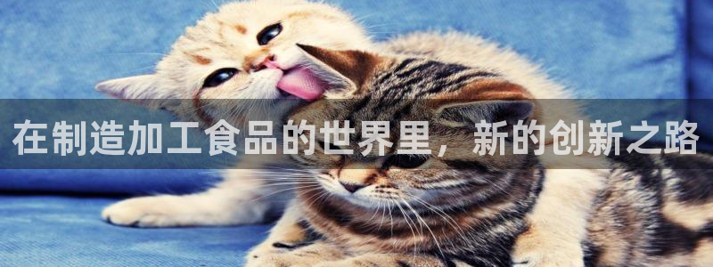 金欧岗星熠娱乐