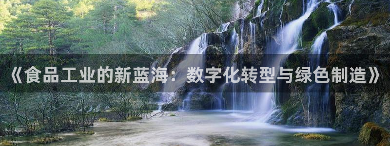 星辉娱乐进入欧连杯