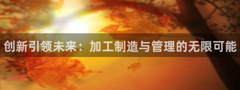 星欧娱乐平台是什么