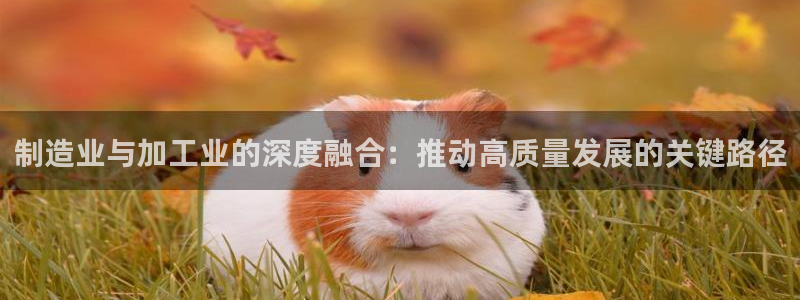 星欧娱乐公司