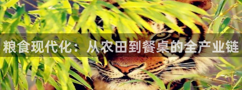星欧娱乐注册官网