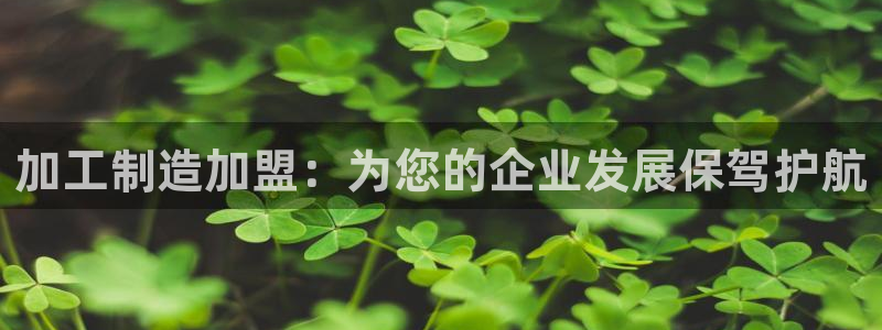 星欧娱乐公司老板背景
