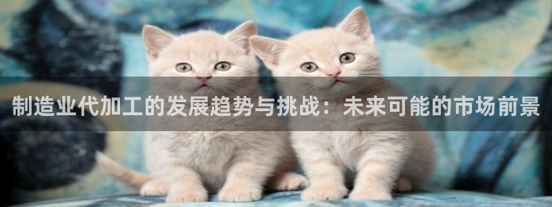 金欧岗星熠娱乐