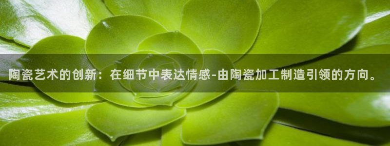 欧星娱乐视频
