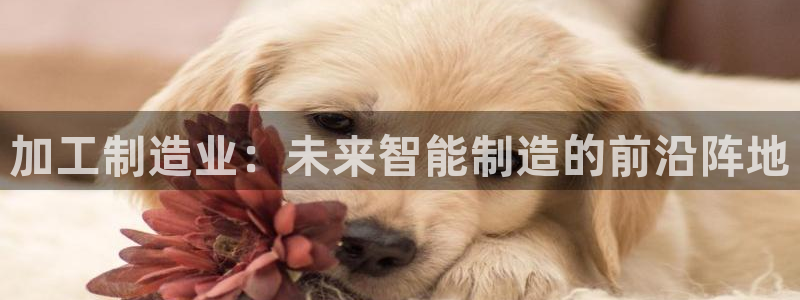 星欧娱乐扣钱步骤详解