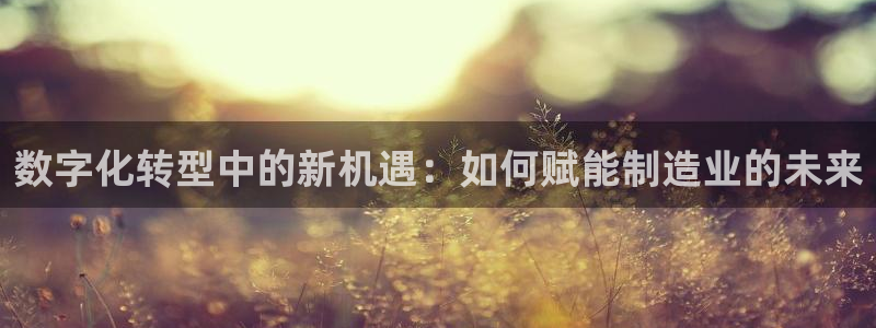 欧豪娱乐星天地采访