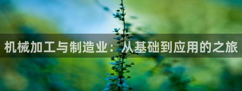 星欧娱乐扣款流程详解