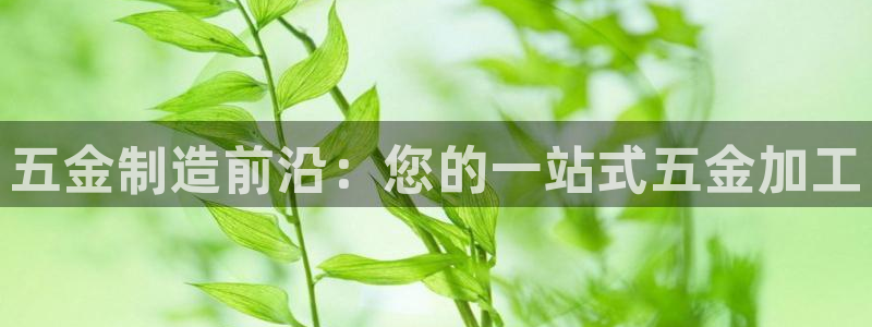 欧星娱乐的盘口