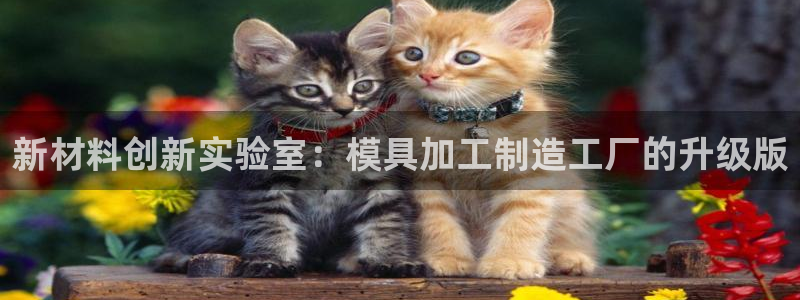 星欧娱乐注册要多少钱