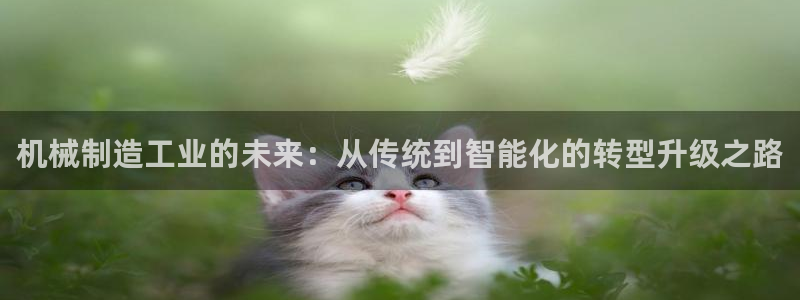 欧亿2娱乐诗星22650j