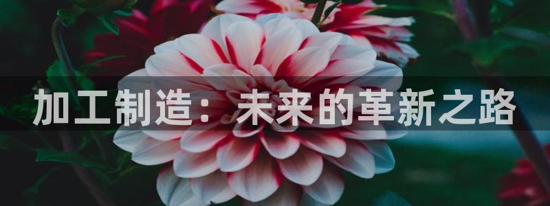 欧乐星城娱乐的介绍