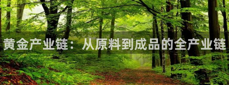 星辉娱乐欧联杯转播