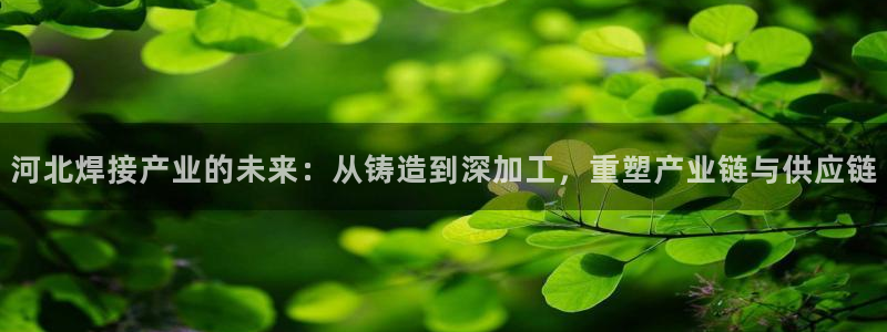 星欧娱乐平台靠谱吗