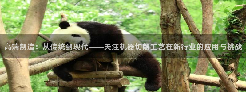 星欧娱乐黑科技是正规的吗