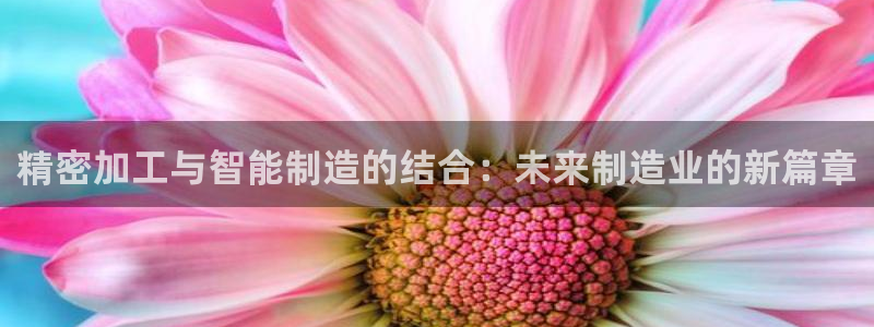 世欧星途娱乐