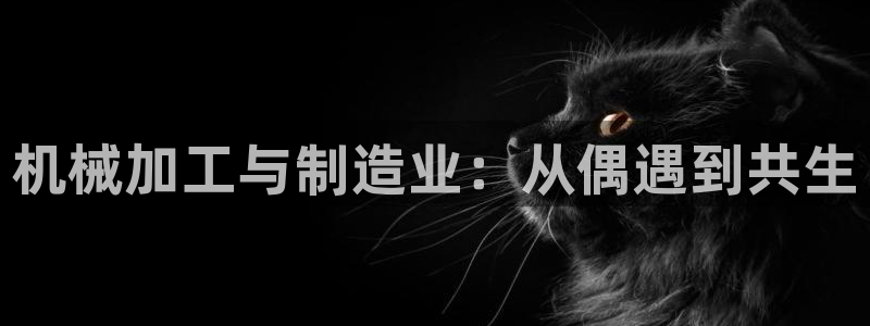 星欧娱乐经纪公司简介